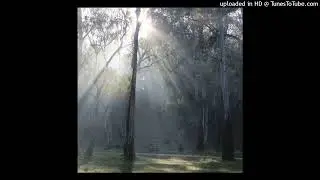 [not free] marlon dubois + shed theory  type beat (lurv)