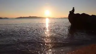see soul, consciousness, energy chi o 4k