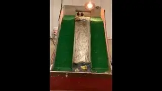Baby Ducks Go Down Water Slide || ViralHog