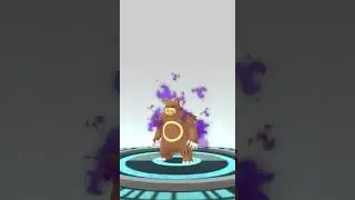 [Pokemon GO] Evolving Shadow Teddiursa into Shadow Ursaring! #pokemongo #shadowpokemon #ursaring