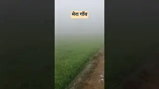 Kohra aur Gaon ka Nazara#shorts​ #trending​ #viralshorts​ #funny​ #comedy​