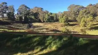 LTFMX Oberon