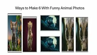 Fun With Numbers by Adding Ways to Make 6 With Funny Animal Photos #2