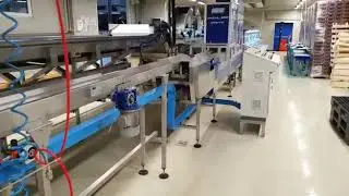 USED UNITEC CHERRY SORTING LINE