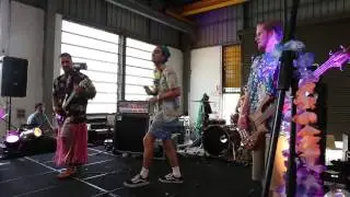 Sabercat (I) @ Expressive Grounds, Gold Coast