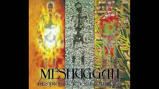 Messugah - Destroy, Erase, Improve