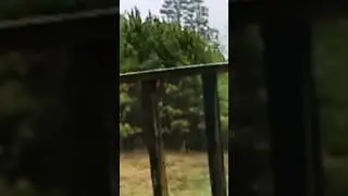 #paranormal #supernatural #phenomenon #recorded#fromsurveillance #dragonappeared#subscribe #4more