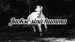 Juokse sinä humma - Mikko Huuhtanen