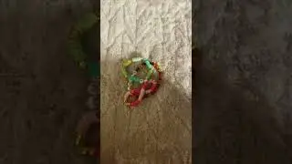 #pov kandi gets out of hand