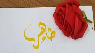 Tahir name's Calligraphy video #Calligraphy #Calligrapher #art #nameart #viral #foryoupage #swag