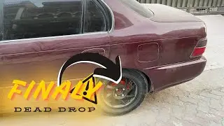 Finally Dead Drop || No Spring Foryou