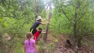Pushing over a dead tree