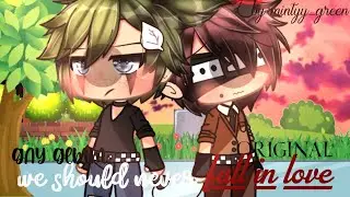 We should never fall in love /gay•bl glmm• original•polyamory