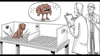 Shocking truth about dog culture learned helplessness. We can learn from dogs?