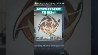 This CS2 Ninja in Pyjamas Sticker is 50.000&euro; worth #cs2 #csgo #ninjasinpyjamas
