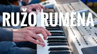 Ružo rumena - Dragan Jovanović - tutorial za početnike na klavijaturi