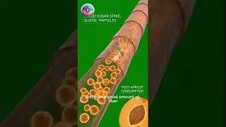 What Happens When You Eat Apricot? | Food Effect Science #Food Effect Science #healthydiet #apricot