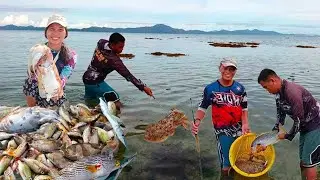 GIANT CUTTLEFISH SUMALUBONG AGAD