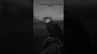 reail love is ☠️😎😎😎 #money #motivation #lion #eagle #viral #treading #sorts