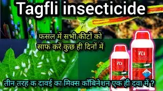 tagfil insecticide |tag fly tropical technical use| tag fly tropical price, dose |टैक फ्लाई नाशक  👈👈