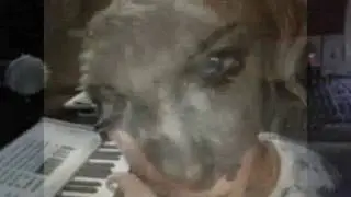 MEZZA POESIA    Gino Ercolanese Video OK