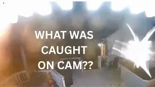 Rare Wildlife & Creepy Night Visitor Caught on Camera | August&ndash;September Footage and Strange Sounds