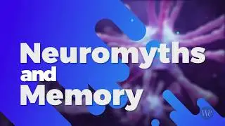 Neuromyths and Memory: How We Memorize Information