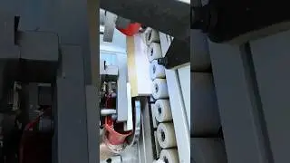 interior panel edge gluing process #woodworking #hardwood #tyzec