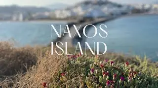 Naxos Island Bus Tour Review