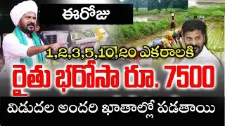 Rythu bharosa amount released government check account balance #rythubharosa