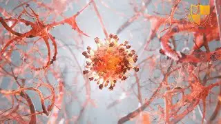 ID #1059 - Virus Logo Animation Intro Reveal - Design Bank Logo Animation