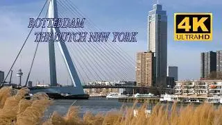 Rotterdam, auch bekannt als das &bdquo;New York der Niederlande&ldquo; 🇳🇱