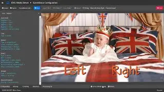 Video Feed Event Tracking with Micro Focus IDOL - Baby Left/ Baby Right