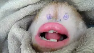 Singing Chin Sean