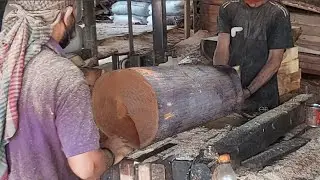 Toughest Wood Cutting Sawmill Skilled Teamwork for Cutting Wood at Timber Mill | Dangerous Job