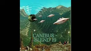 CANIBUS - BLEND 19