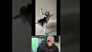 new trend unlocked 😂