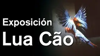Lua C&atilde;o (Exposici&oacute;n)  | La Casa Encendida