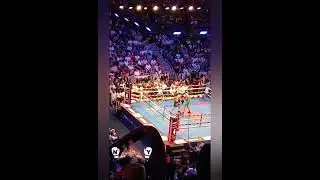 Hamzah Sheeraz vs Edgar Berlanga Jr. Fight