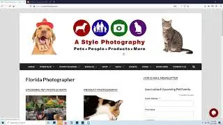 How to Order Pet Photo Special from A Style Photography
