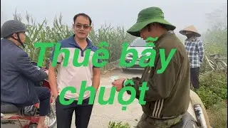 Giang TV: được th&ocirc;n thu&ecirc; về bẫy chuột đồng cho b&agrave; con