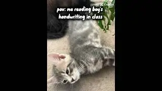 reading boys writing in class 😭