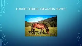 Oakfield Equine Cremation Service