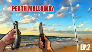 CAN We Catch A BIG Beach MULLOWAY In Perth?! EP. 2 - Perth Beach Fishing