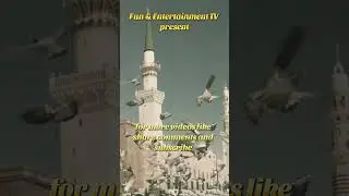 Roza Mohammed ur rasul Allah | Fun & Entertainment TV #daroodsharif #foryou #naat #new