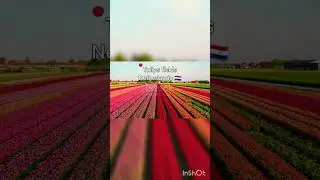 Places on earth That don't feel real Part 9#TravelAroundTheWorld#