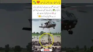 Pak Army Rescues Animals Trapped in Floods #trending #shortvideo #pakarmy #rescue #animal #flood