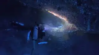 Palau Holiday 2025