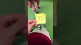 Больше, чем соперничество. ⚔️