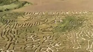 Stoney Brook Farms in Minnesota creates Jurassic Park-themed corn maze